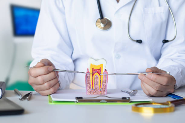Best Emergency Care for Gum Disease in North Royalton, OH